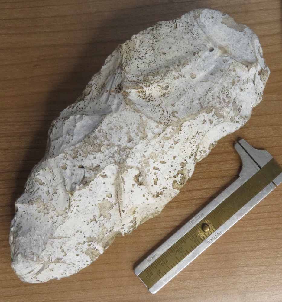 Ovate handaxe: egg-shaped Acheulean biface with rounded butt and continuous edge containing figurative images