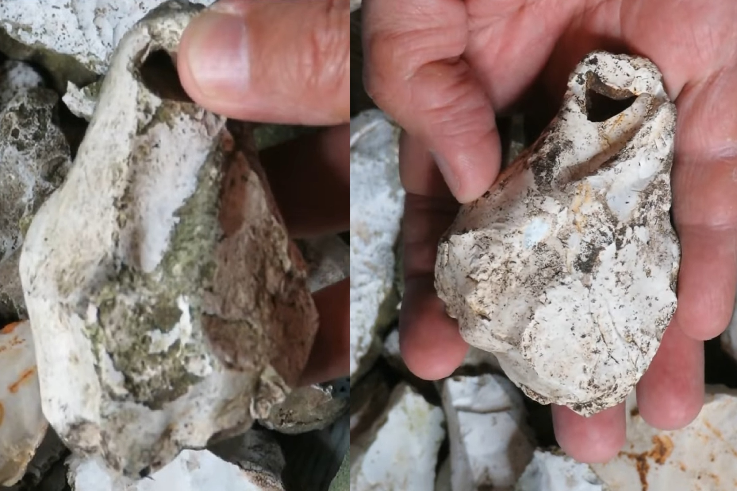 Stone Teardop Weight: flint tool, evidence of cordage use