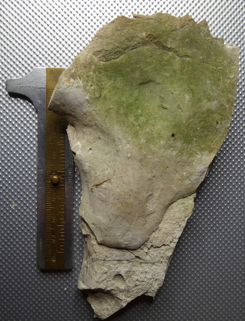 Portable rock art candidate: zoomorphic profile with technical edge modification