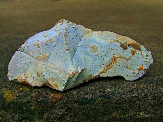 Portable rock art candidate: repeated motif example