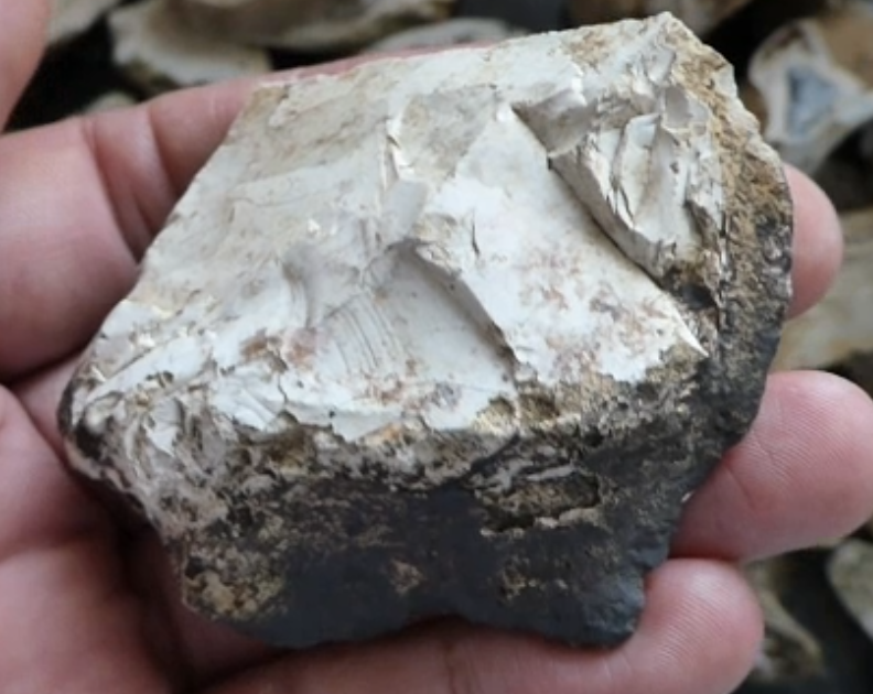 Poly-iconic specimen: tool function plus stable profile reading