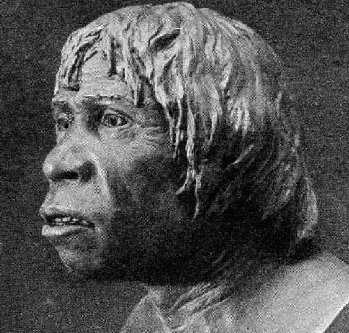 The Bust of the Piltdown Man - Eoliths.org